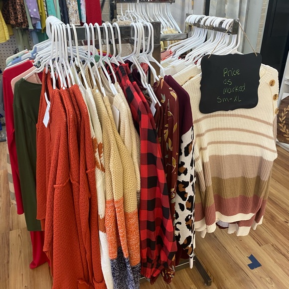 Meet your Posher, Sassy Bella - Picture 11 of 11